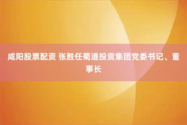 咸阳股票配资 张胜任蜀道投资集团党委书记、董事长